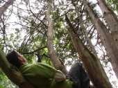 DSC08071.JPG